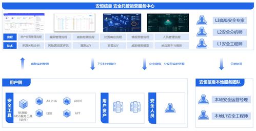 安恒信息領(lǐng)跑中國公有云托管安全服務(wù)市場，深化信息系統(tǒng)集成服務(wù)優(yōu)勢