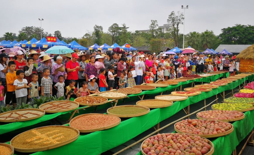 豐收的喜悅傳四方——中農富通各基地歡慶首屆中國農民豐收節