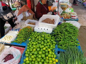 隆陽區11月中旬農產品市場價格動態 肉價持續下跌，農產品供應穩定