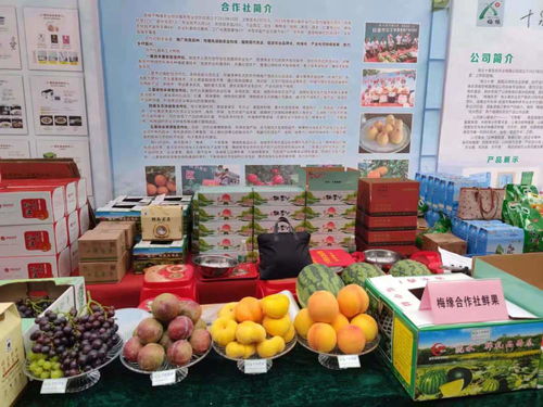 火爆宜城特色農產品展銷會暨楚都美食節盛大開幕