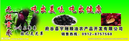 農產品的視覺魅力 從田間到餐桌的自然之美