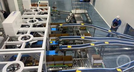 淘金農產品加工業 數字化布局加速，企業競逐新機遇