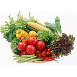 深圳市加工農(nóng)產(chǎn)品產(chǎn)業(yè)鏈 批發(fā)、供應(yīng)與廠家解析