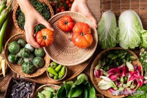 政策東風(fēng)勁吹，九大模式引領(lǐng)農(nóng)村電商新變革