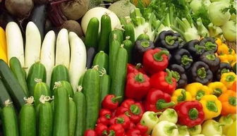 鄉(xiāng)土特色產(chǎn)業(yè) 鄉(xiāng)村振興的重要增長(zhǎng)極與農(nóng)產(chǎn)品價(jià)值提升新路徑