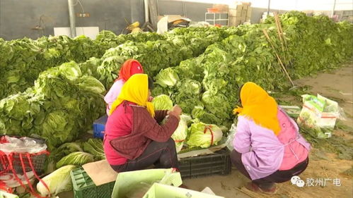 發(fā)揮地理標(biāo)志產(chǎn)品優(yōu)勢(shì)，打造高端農(nóng)產(chǎn)品品牌新路徑