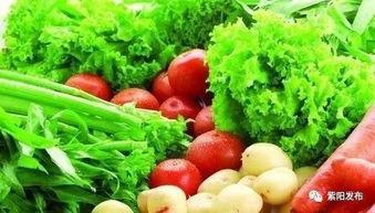 我縣兩家生產(chǎn)經(jīng)營(yíng)主體成功入選全國(guó)農(nóng)產(chǎn)品全程質(zhì)量控制技術(shù)體系首批試點(diǎn)單位