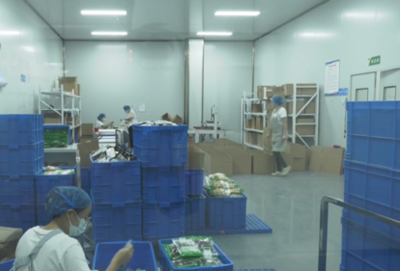 許昌市建安區河街鄉 工廠建在家門口，就業增收有奔頭，農產品煥發新生機