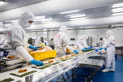 智慧田園新畫卷 科技如何重塑金山現代農業生態